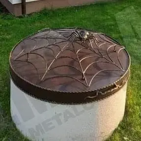 Copertura per pozzetto con ragnatela e ragno