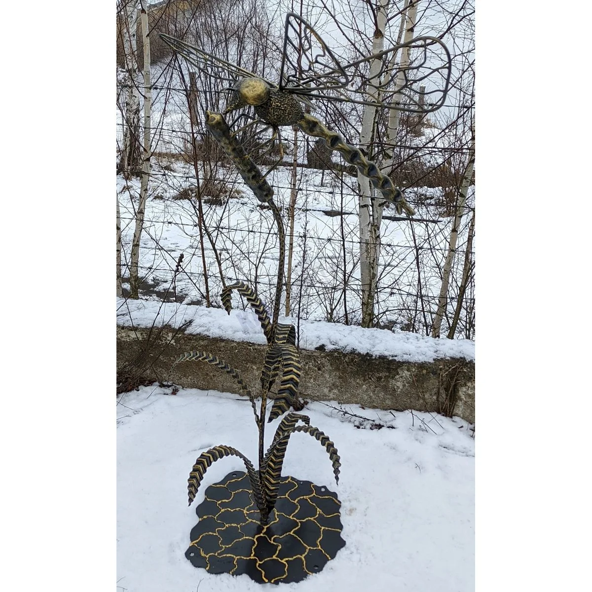 Libellula tra le canne - immagine 2