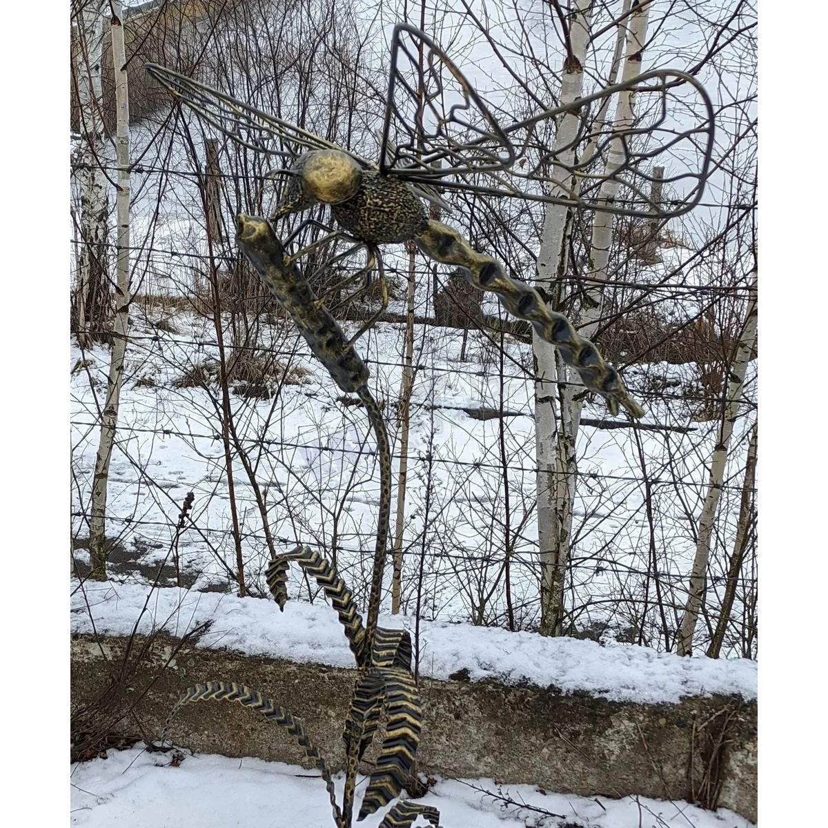Libellula tra le canne - immagine 3