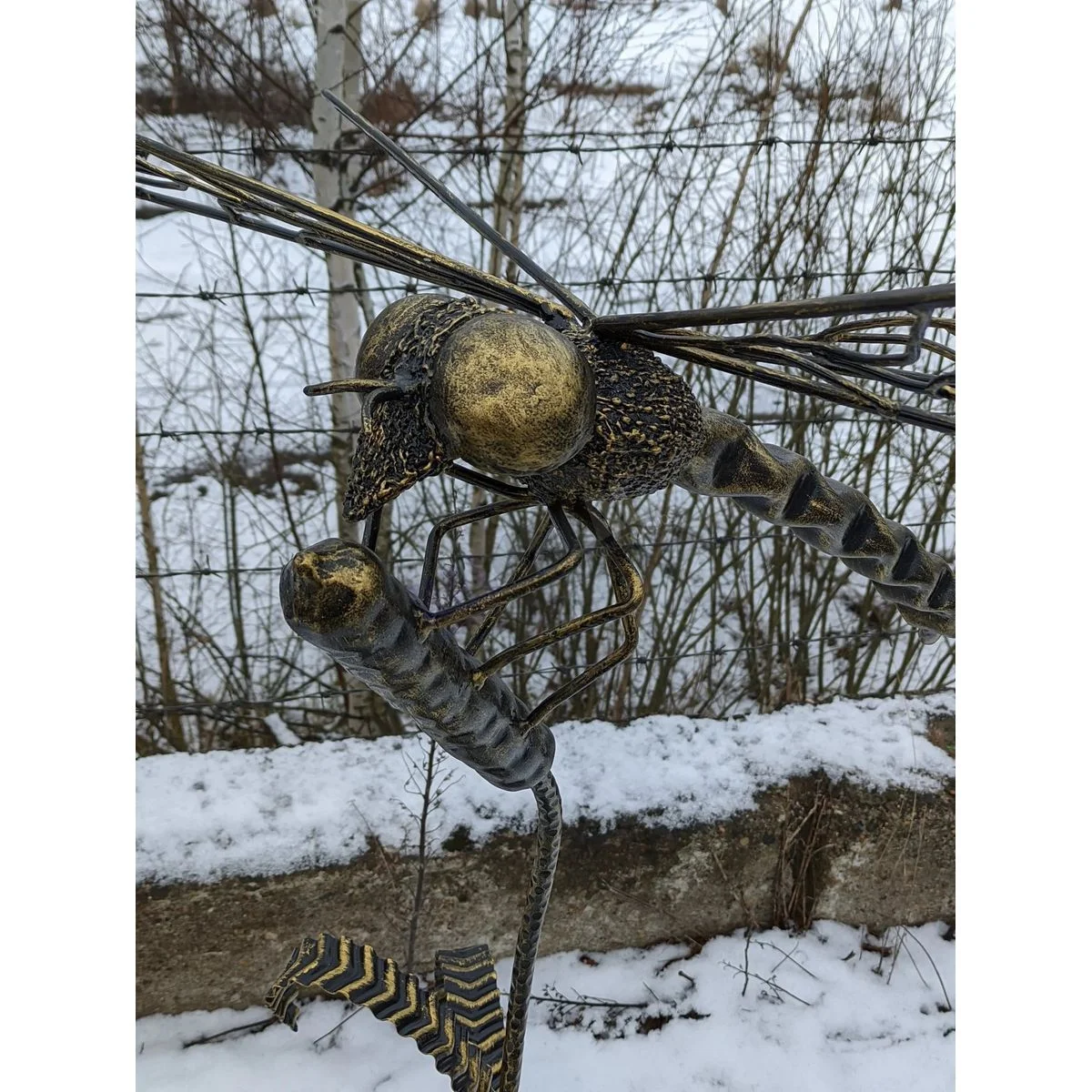 Libellula tra le canne