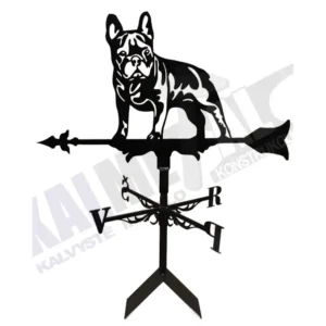 Banderuola „Cane“